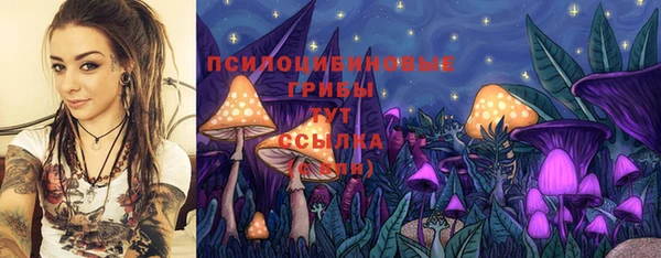 spice Беломорск