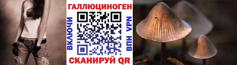 Галлюциногенные грибы Psilocybine cubensis Соль-Илецк